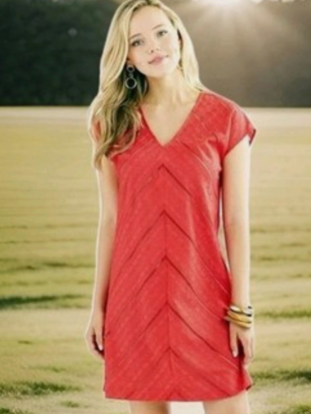 NWT Finley Megan V-Neck Shift Dress. XL